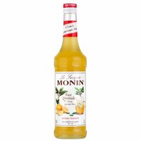Monin Cloudy Lemon